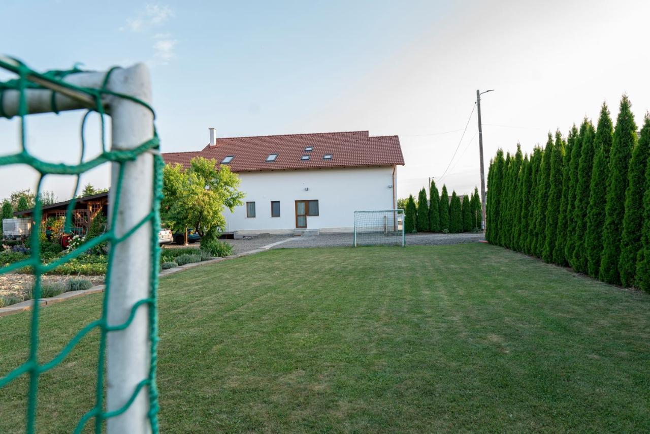 Pensiunea Gassi Marosszentkirály Kültér fotó
